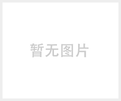 QA1519逆止阀